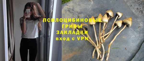 гашик Алексеевка