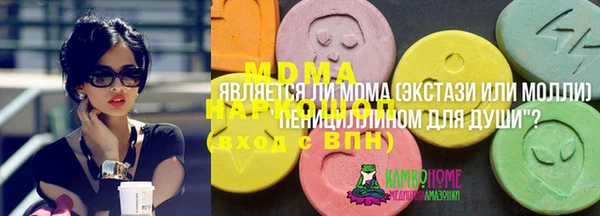 гашик Алексеевка