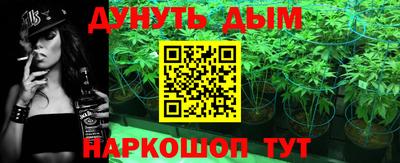 индика Кулебаки