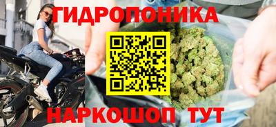 индика Кулебаки