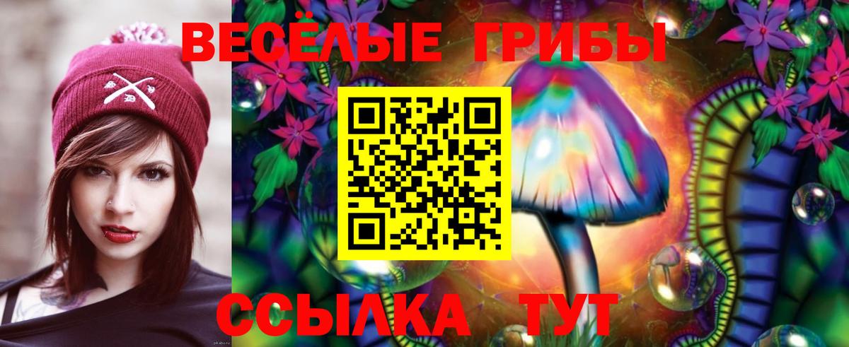 Галлюциногенные грибы MAGIC MUSHROOMS  что такое наркотик  Елабуга  Галлюциногенные грибы Cubensis  Вход с VPN 
