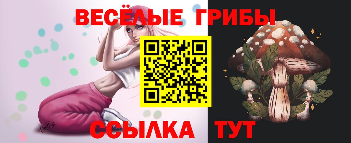 Галлюциногенные грибы Psilocybe Елабуга